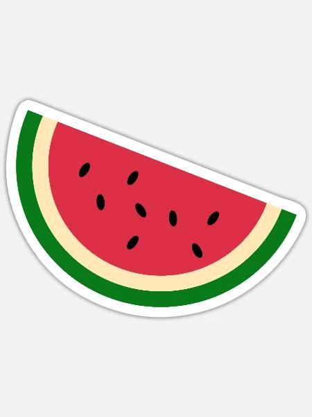Watermelon Slice Design Art, Vibrant Fruit Illustr - Sticker - white matte