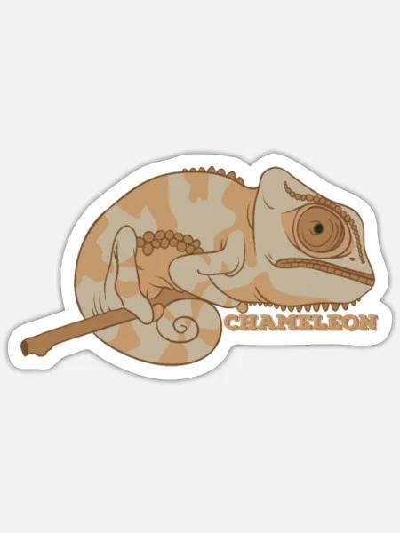 - Sticker - white matte
