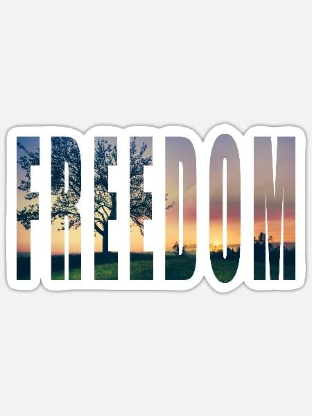 - Sticker - white matte