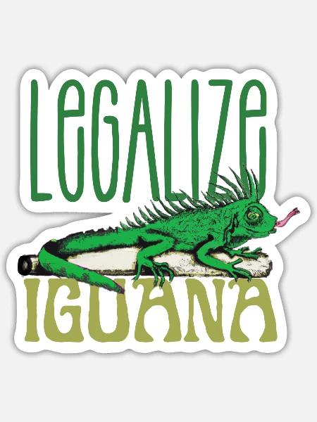 Funny Iguana Saying Iguana Artwork Iguana Lovers - Sticker - white matte