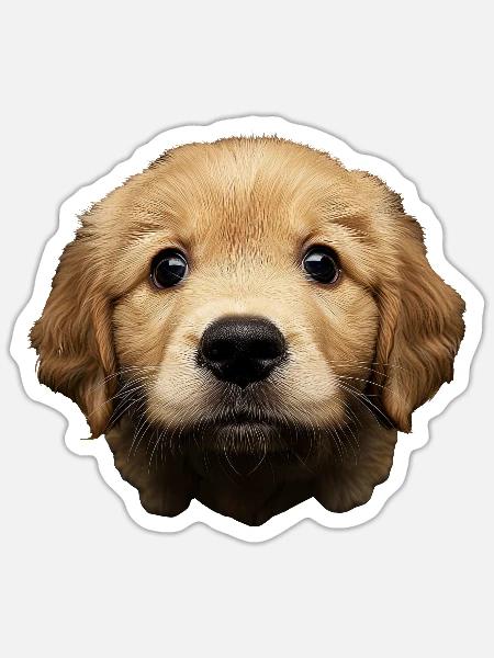Golden Retriever - Sticker - white matte
