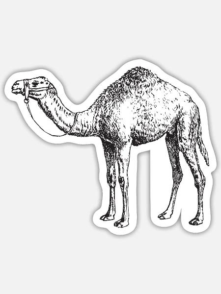 - Sticker - white matte