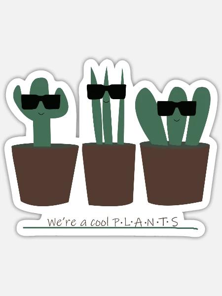 Cool Plant Cactus Doodle - Sticker - white matte