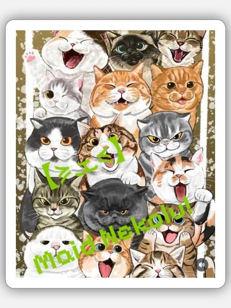 CATASTIC - Sticker - white matte