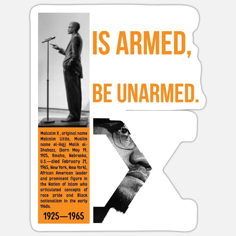 malcolm x poster quote