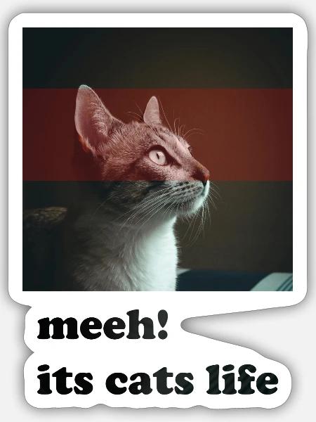 meeh its cats life - Sticker - white matte