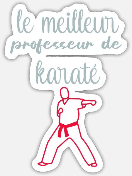 Le Meilleur Professeur De Karaté - Sticker - white matte