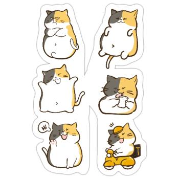 Chubby Calico Cat Expressions - Sticker - white matte - Front