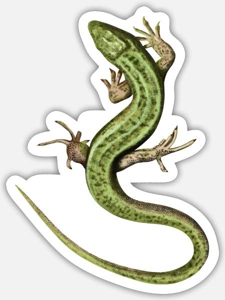 - Sticker - white matte