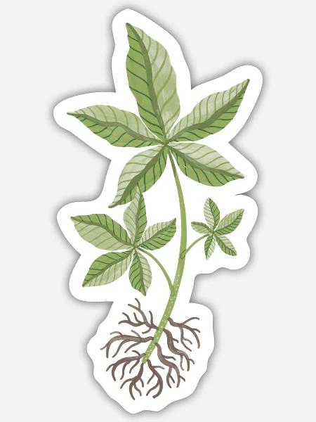 - Sticker - white matte