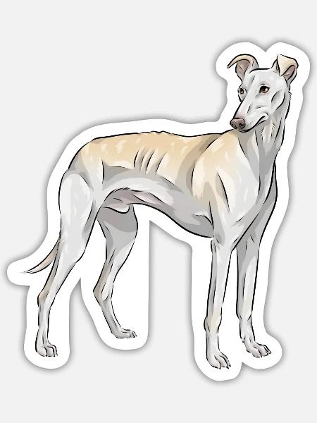 Spanish Galgo Dog Spanish Greyhound - Sticker - white matte