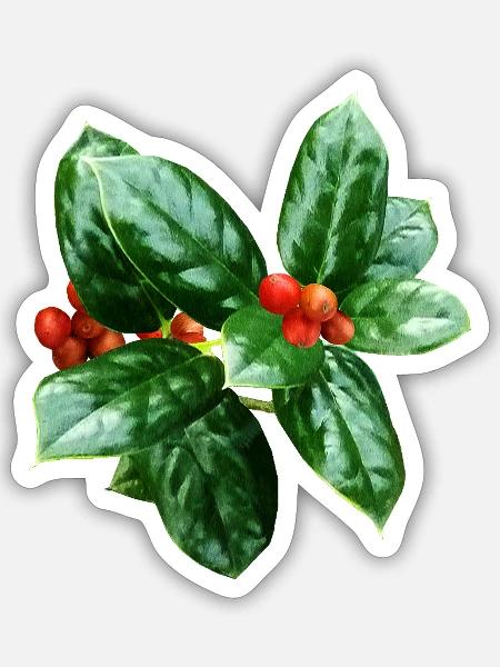 - Sticker - white matte