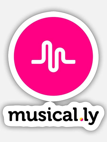 Musical.ly Logo - Sticker - white matte