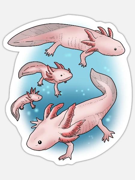 Axolotl Shirt Kids Axolotl Gifts Kawaii Axolotl - Sticker - white matte