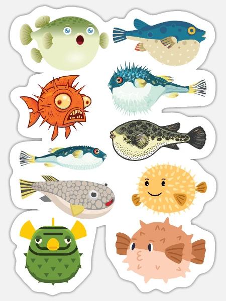 Cute Puffer Fish Types of Blowfishes - Sticker - white matte
