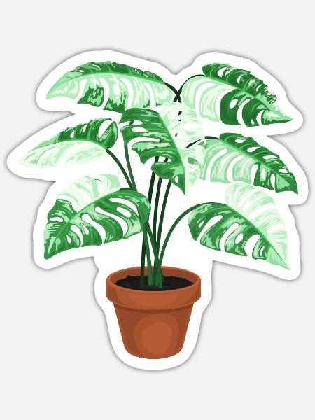 - Sticker - white matte