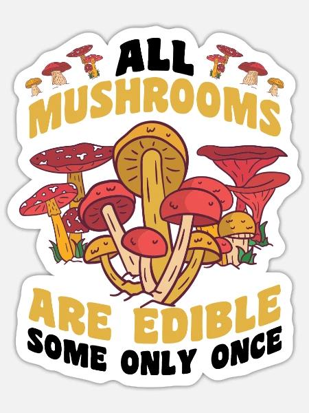 - Sticker - white matte