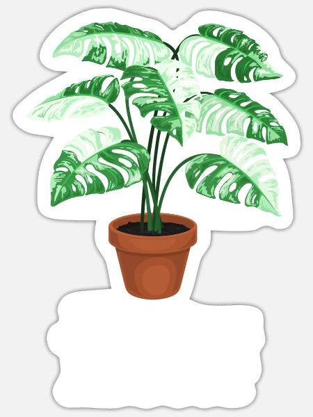 - Sticker - white matte
