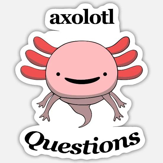 Funny Any Questions