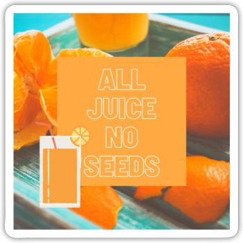 ALL JUICE NO SEEDS - Sticker - white matte - Front