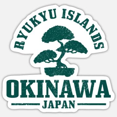 schirmakazie bonsai Japanese Juniper Shimpaku Bonsai   bonsai-inc