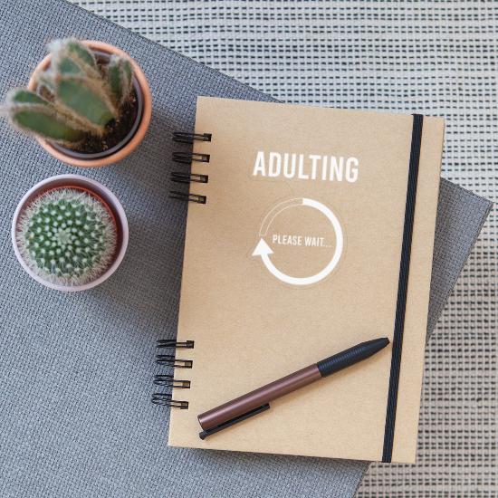 Naughty Shirt For Adults Saying Adulting Please' Sticker