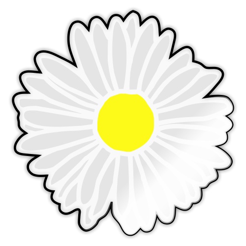 Daisy Bloom - Sticker