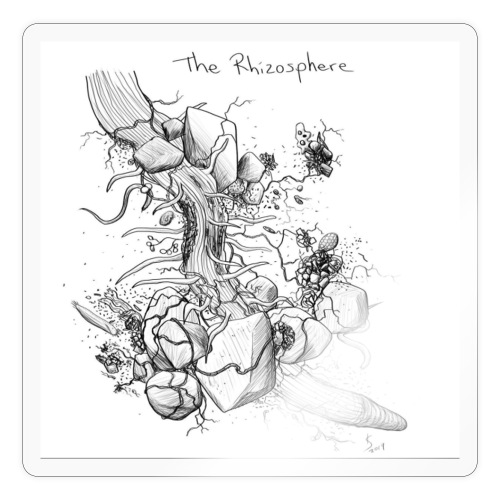 The rhizosphere - Sticker
