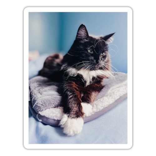 KitCat Portrait - Sticker