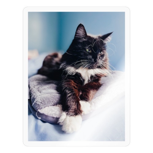 KitCat Portrait - Sticker