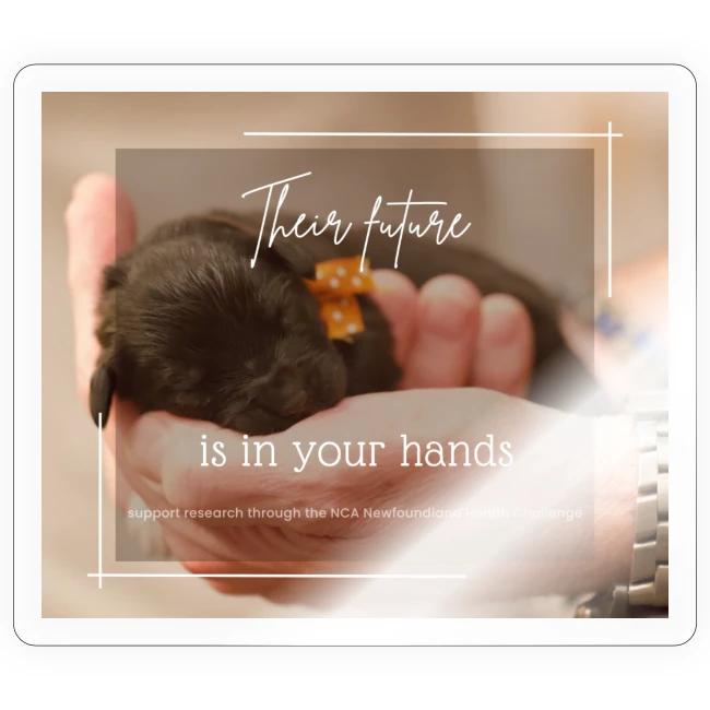 Their Future Is in Your Hands Research Fundraiser