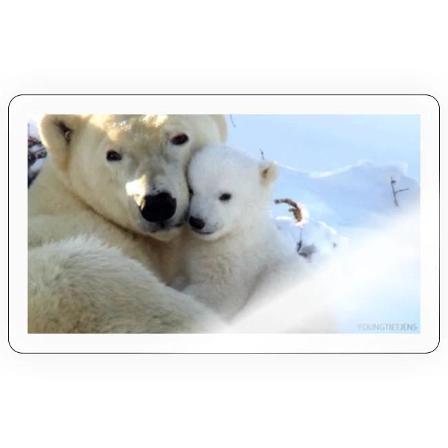 polarbearhug
