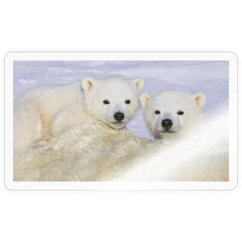 polarbears - Sticker