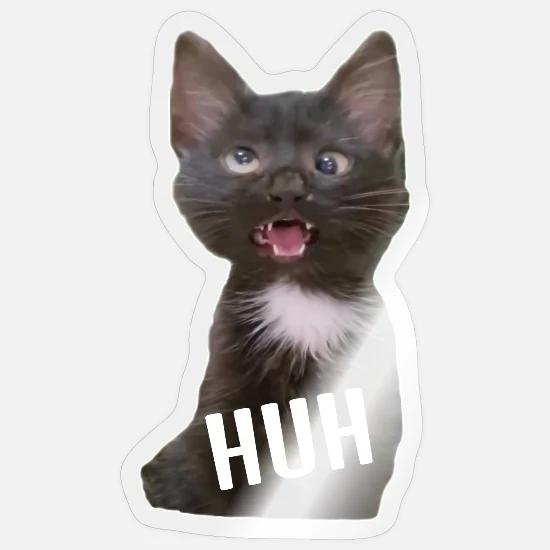 Reaktions Katzen Meme