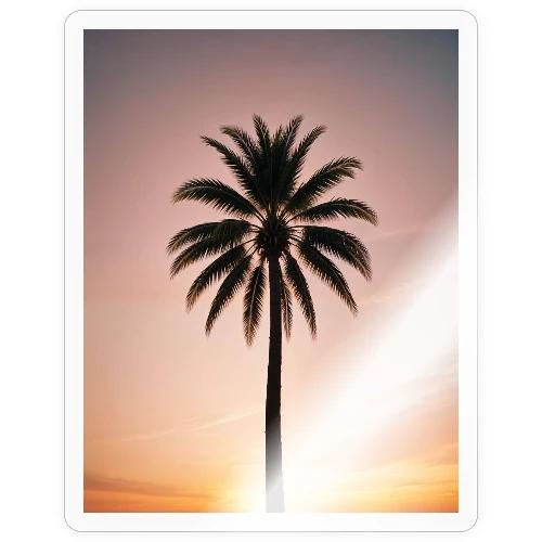 palm peace - Sticker