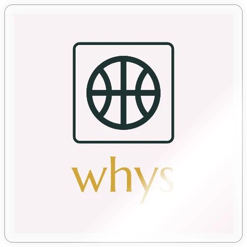 whys logo - Sticker