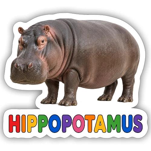 Hippopotamus - Sticker