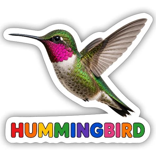 Hummingbird - Sticker