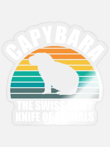 - Sticker - transparent glossy