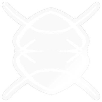 guardian - Sticker - transparent glossy - Front