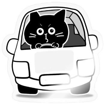 Chubby Black Cat Expressions - driver cat - Sticker - transparent glossy - Front