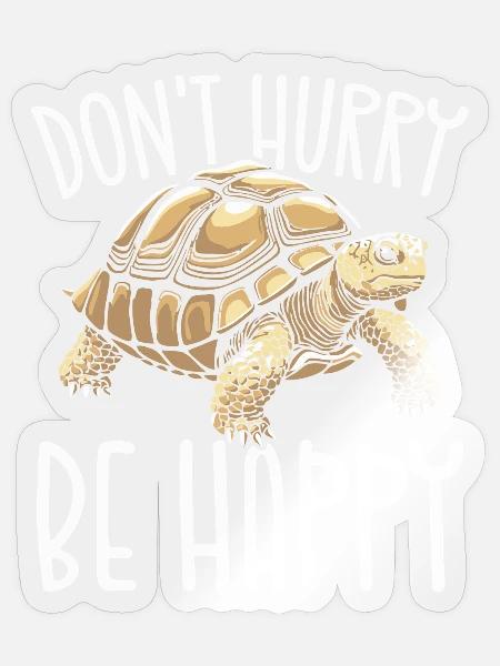 Turtle Chill Motivational Quote Tee - Sticker - transparent glossy