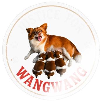 Justice For Wangwang Dog - Sticker - transparent glossy - Front
