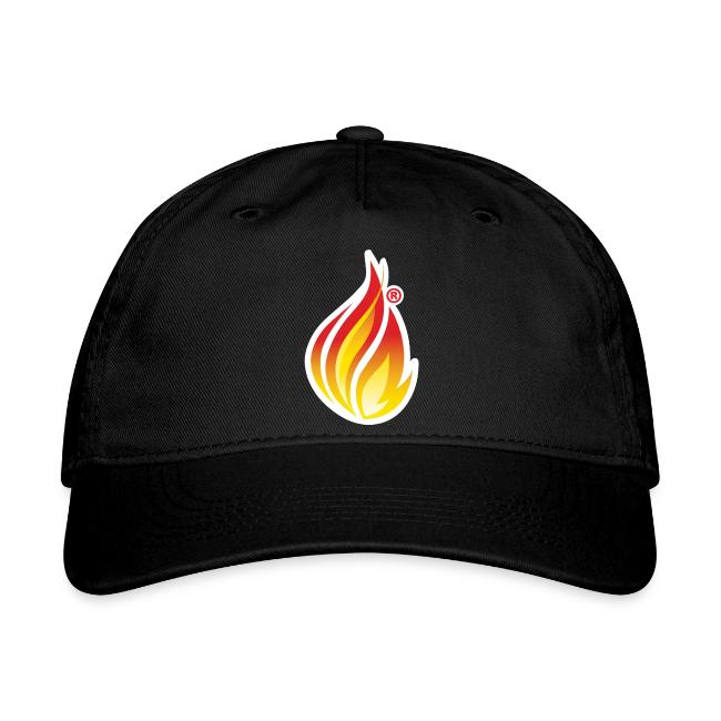 HL7 FHIR Flame graphic with white background