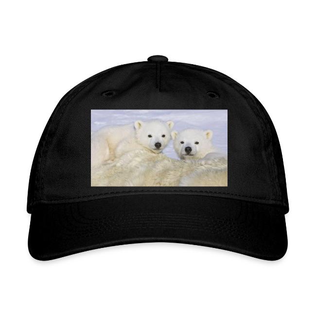polarbears