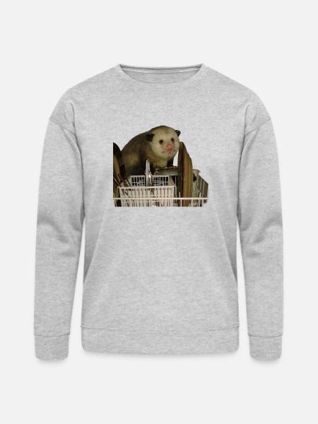Dishwasher Possum, Funny, Opossum - Bella + Canvas Unisex Sweatshirt - heather gray