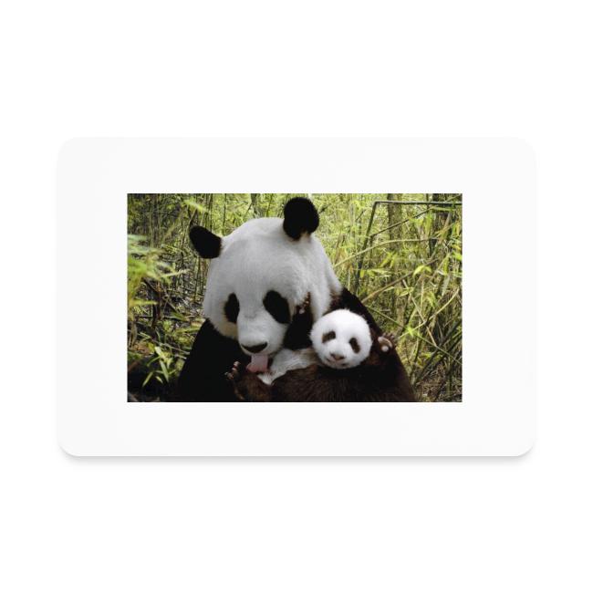 panda