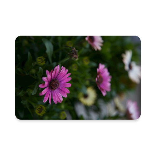 Beautiful Garden Flowers - Rectangle Magnet