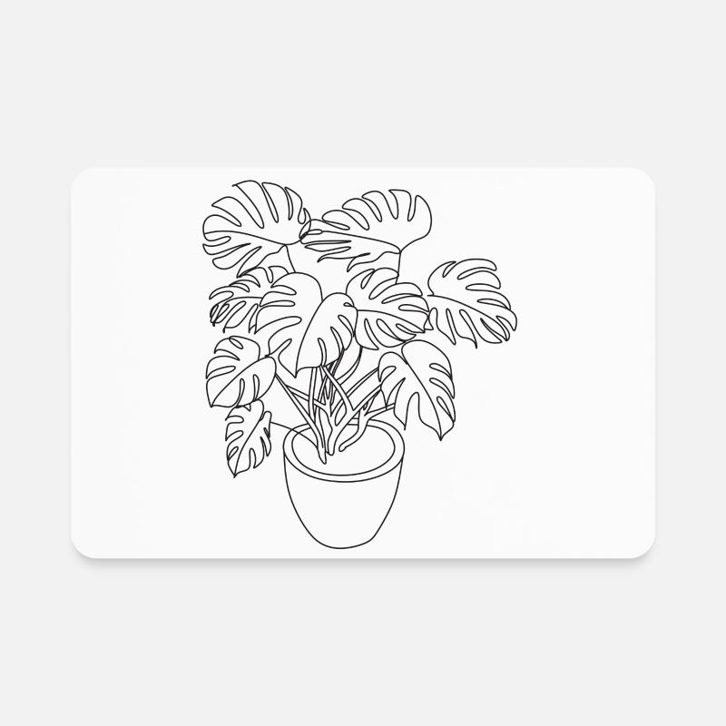 philodendron moonlight mature Philodendron 'Moonlight'