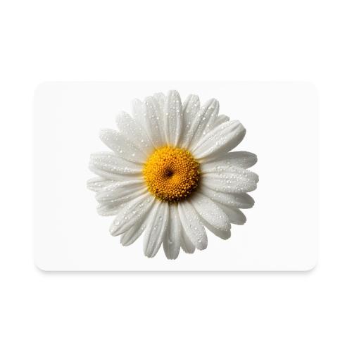 Morning Daisy Freshness - Rectangle Magnet